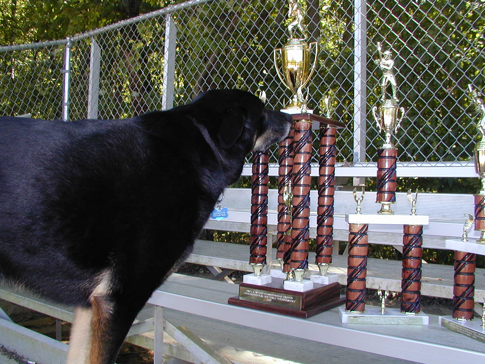 Peso and Trophies